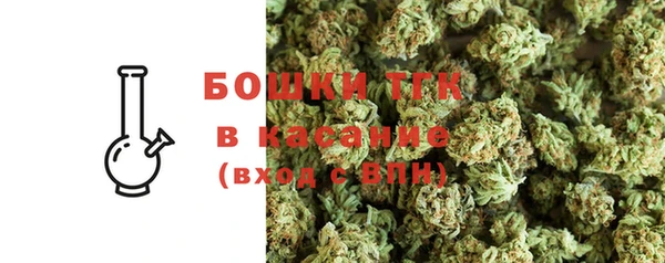 мдпв Карпинск