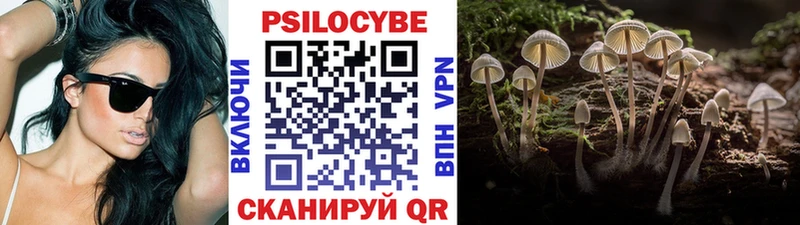 Псилоцибиновые грибы Cubensis Кедровый