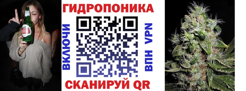 shop состав  Кедровый  Шишки марихуана сатива 